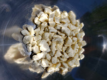Load image into Gallery viewer, Garlic Dill Cheddar Curds - 12oz.